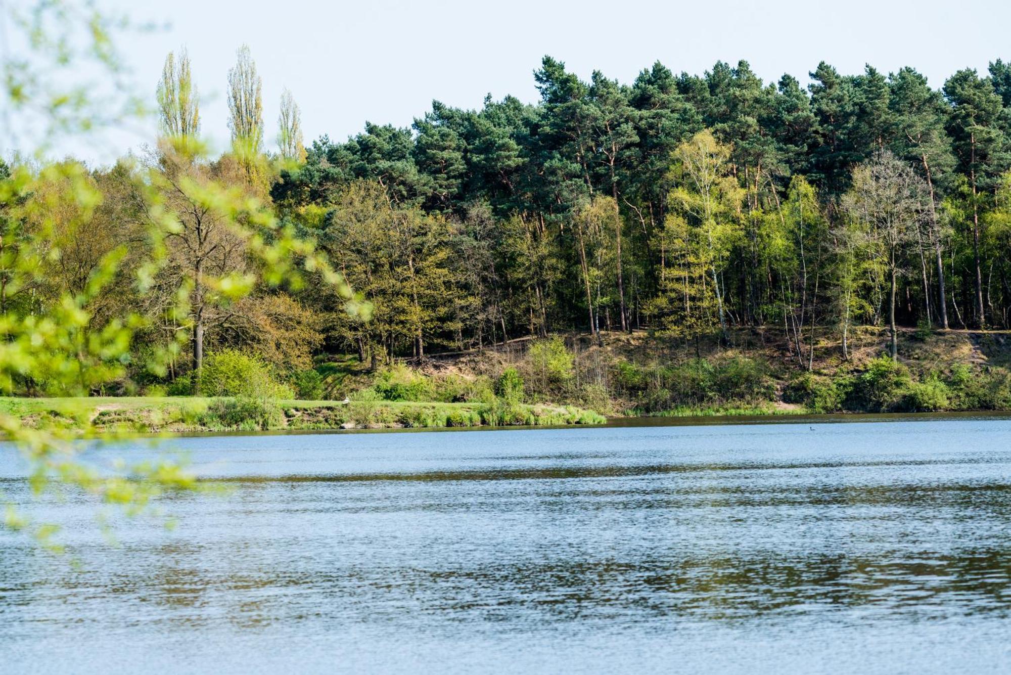 Waldhotel Schipp-Hummert Emsdetten Exteriér fotografie